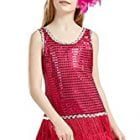 1920s-sequin-flapper-dress-2 1920s-sequin-flapper-dress-2