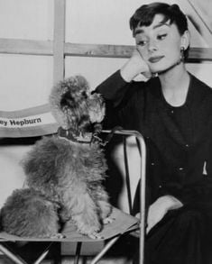 Audrey Hepburn Poodle Dog